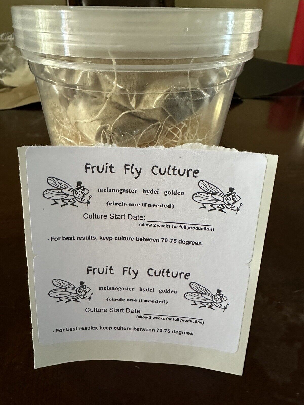 Fruit Fly Culture Kit - Makes 2 cultures - No Flies